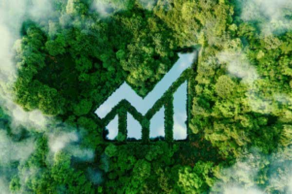 消费贷调查：10年期限+千万额度，银行比拼“大额消费贷”